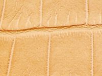 sunburst Nuvtex Croco