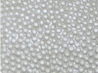 white Nuvtex Beads