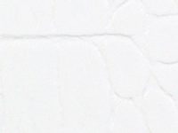 white Nuvtex Dundee